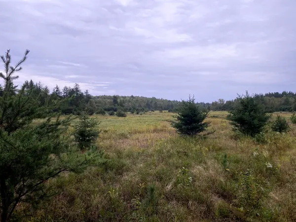 Sudbury Remote Area, ON P0M 3C0,Con 1 Pt Lot 7 N/A