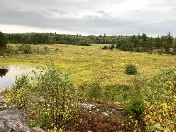 Sudbury Remote Area, ON P0M 3C0,Con 1 Pt Lot 7 N/A