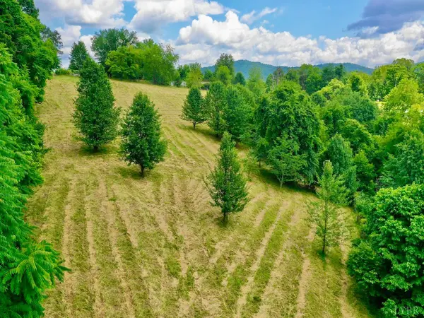 Vinton, VA 24179,0 Holiday Circle