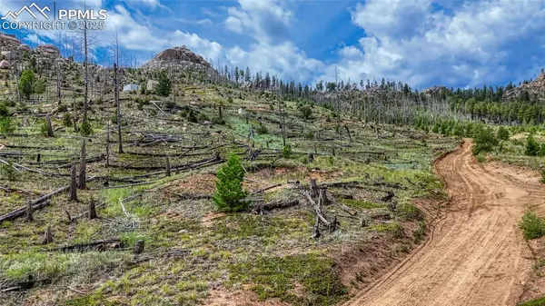 Woodland Park, CO 80863,Tract 36 S Highway 67