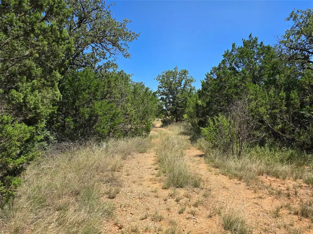 Santa Anna, TX 76878,TBD CR 102