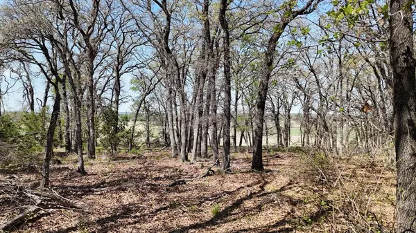 Iredell, TX 76649,280 Private Road 2162