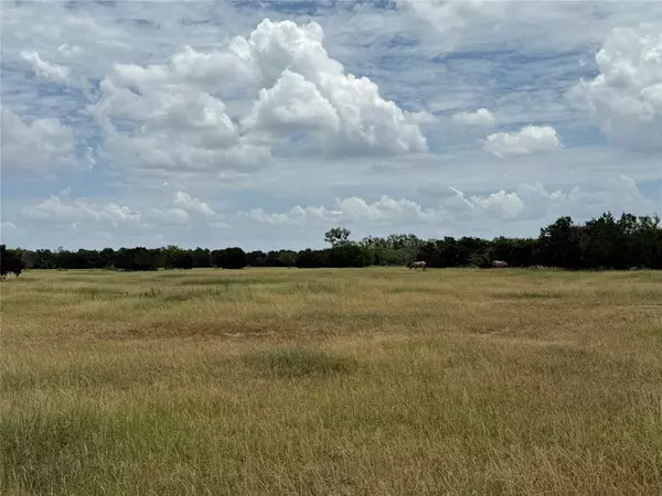 Mineral Wells, TX 76067,TBD Saddleview Ct