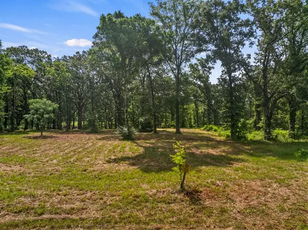 Mount Pleasant, TX 75455,TBD Private Road 2367