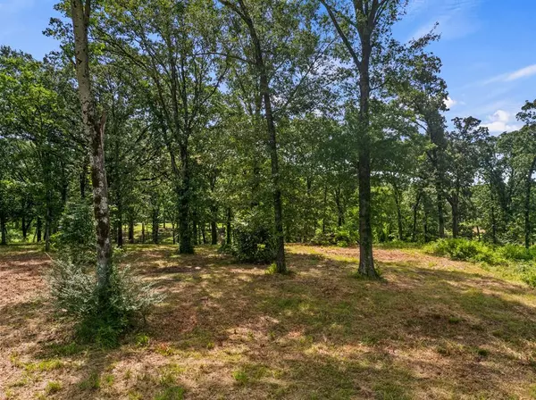 Mount Pleasant, TX 75455,TBD Private Road 2367