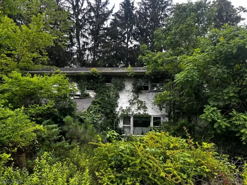 Rockaway Twp., NJ 07866,24 Upper Hibernia Rd
