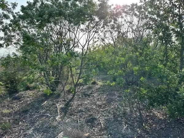Graford, TX 76449,Lot 645R Canyon Wren Loop