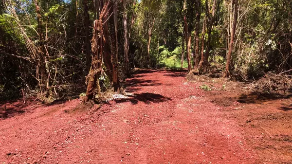 18-2319 KAKAHIAKA UHANE ST,  Volcano,  HI 96785