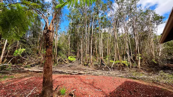 Volcano, HI 96785,18-2319 KAKAHIAKA UHANE ST