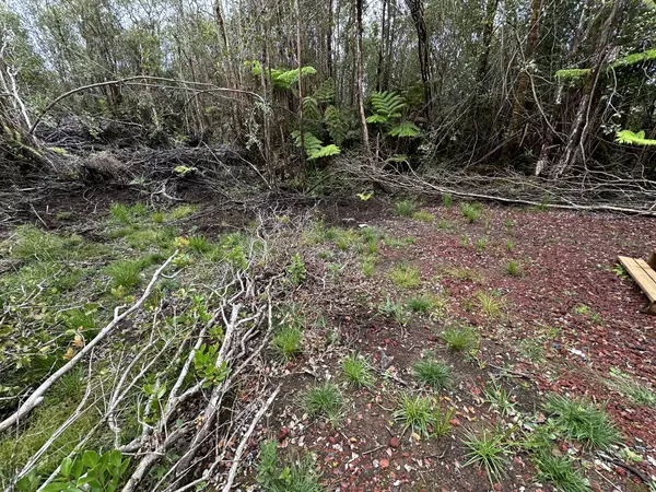 Volcano, HI 96785,18-2319 KAKAHIAKA UHANE ST