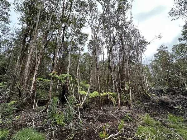 Volcano, HI 96785,18-2319 KAKAHIAKA UHANE ST