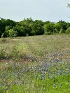 35 Longview Creek Trail, Itasca, TX 76055