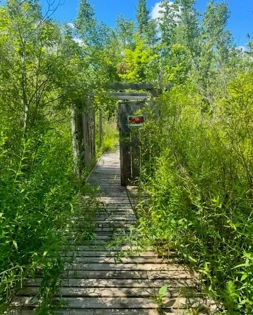 Kawartha Lakes, ON K0L 2W0,19 Carlton CRES