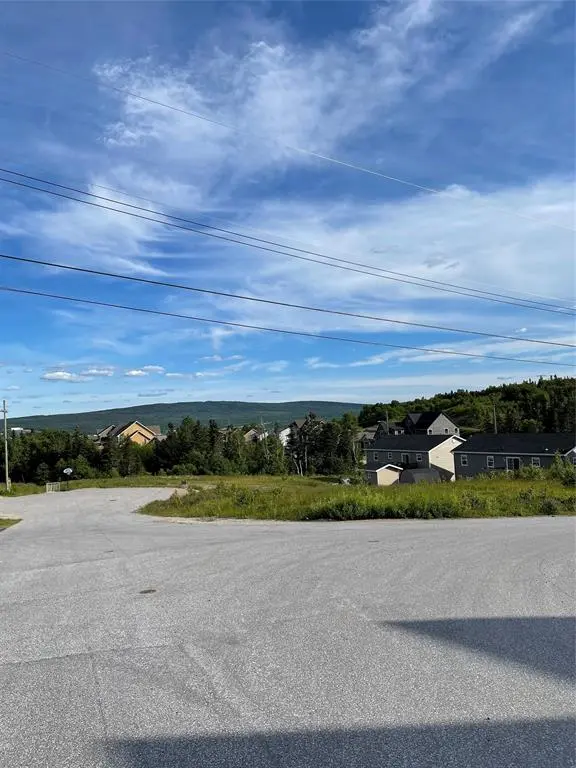 6 Jacks Place, Deer Lake, NL A8A 0B6
