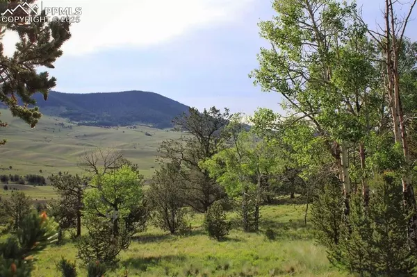 Guffey, CO 80820,TBD Highway 9