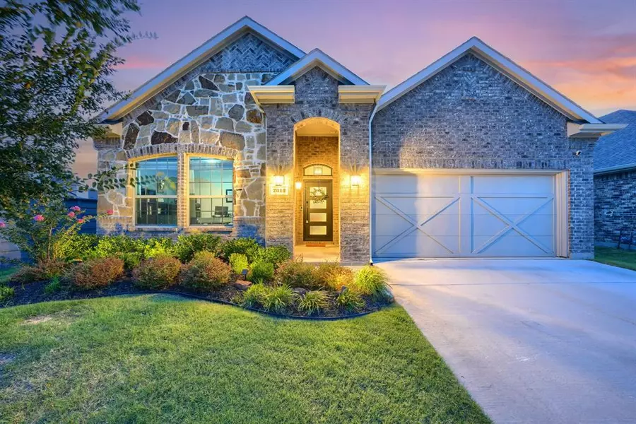 7313 Carnation Street, Little Elm, TX 76227