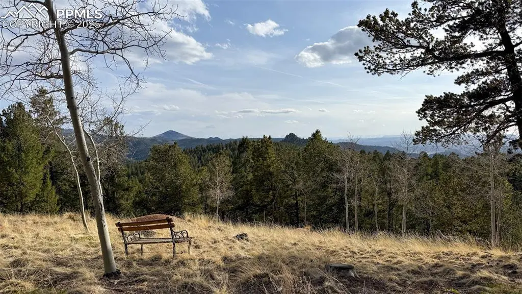 239 Homestead RD, Divide, CO 80814