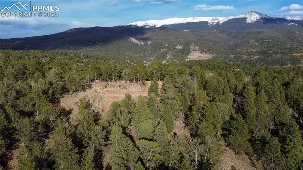 Divide, CO 80814,239 Homestead RD