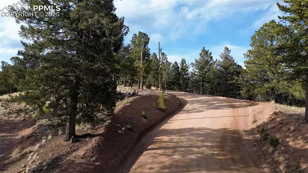 Divide, CO 80814,239 Homestead RD