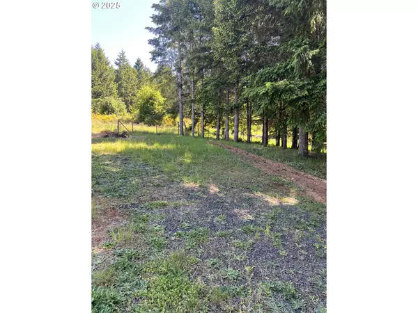 863 C ST, Elkton, OR 97436