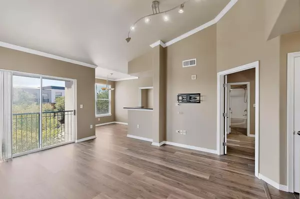 Irving, TX 75039,330 Las Colinas Boulevard E #418