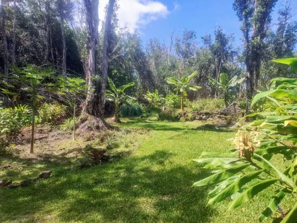 Pahoa, HI 96778,MOLOKAI ST