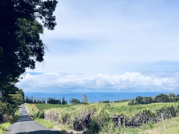 Laupahoehoe, HI 96764,35-194 PAPAALOA RD