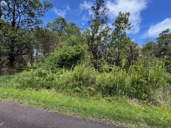 Volcano, HI 96785,WAO NANI, ROAD 6