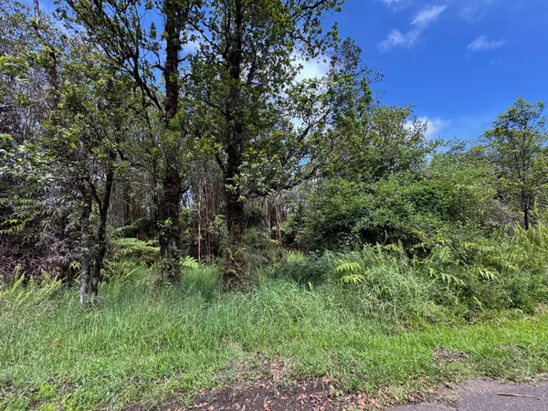 Volcano, HI 96785,WAO NANI, ROAD 6