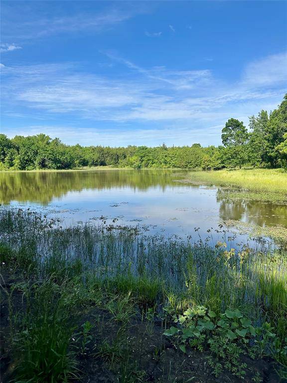 Blue Ridge, TX 75424,0 County Road 5020 Road #OF