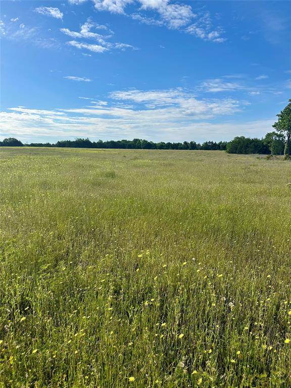 Blue Ridge, TX 75424,0 County Road 5020 Road #OF