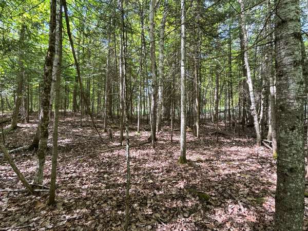 0 Sharon Lake DR, Minden Hills, ON K0M 2K0