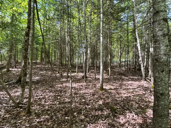 Minden Hills, ON K0M 2K0,0 Sharon Lake DR