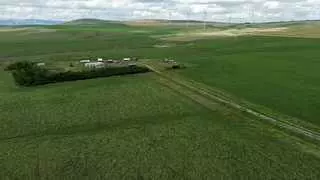 7117 Range Road 30-3, Rural Pincher Creek No. 9 M.d. Of, AB T0K 1W0