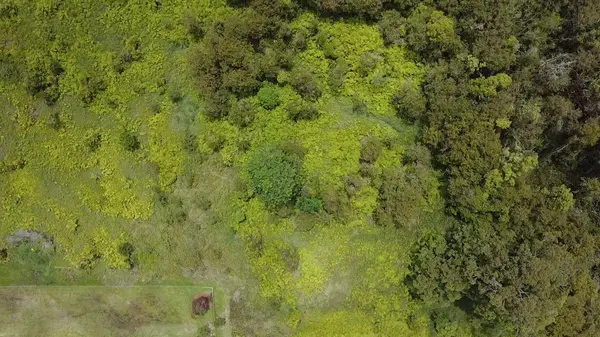 Hilo, HI 96720,AINAOLA DRIVE