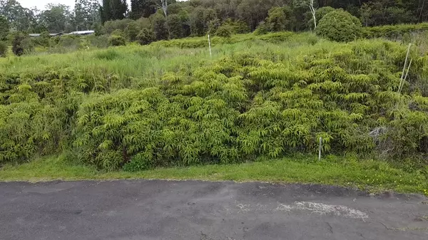 Hilo, HI 96720,AINAOLA DRIVE