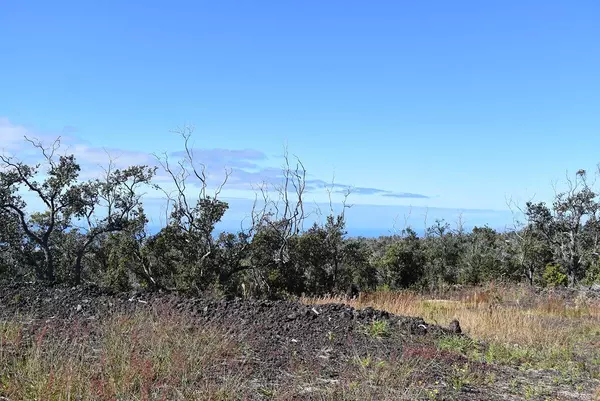 Ocean View, HI 96737,92-9082 TIKI LN