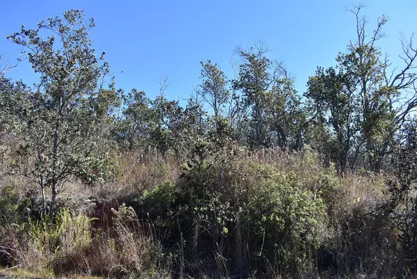 Ocean View, HI 96737,92-9082 TIKI LN