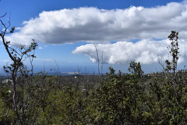 Ocean View, HI 96737,92 OHIA DR