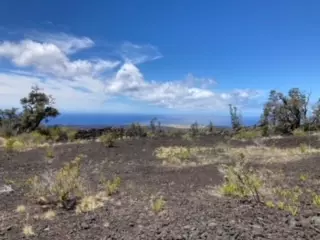 Ocean View, HI 96737,ROAD TO THE SEA