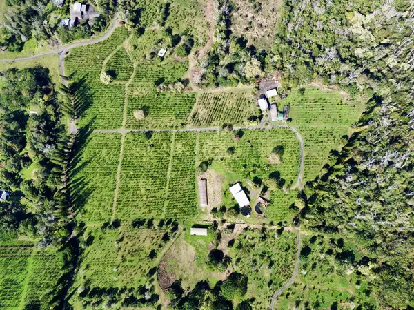 78-1337 BISHOP RD, Holualoa, HI 96725