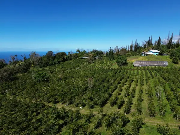 78-1337 BISHOP RD, Holualoa, HI 96725