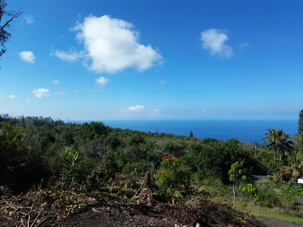 78-1275 BISHOP RD, Holualoa, HI 96725