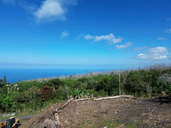 78-1275 BISHOP RD, Holualoa, HI 96725