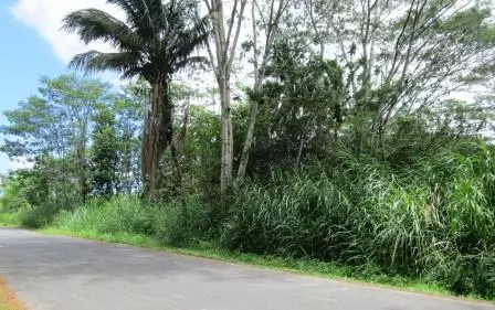 Keaau, HI 96760,35TH AVE