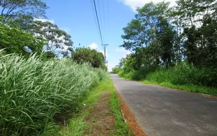 Keaau, HI 96760,35TH AVE