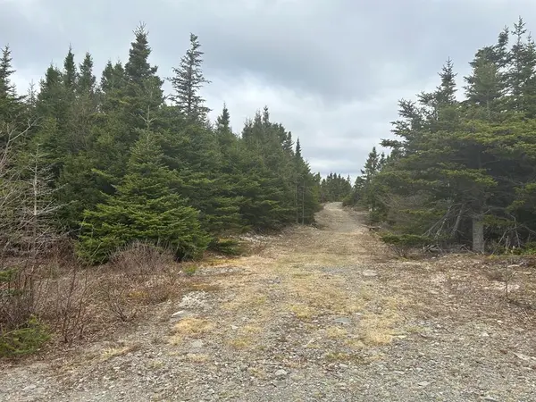 Lot # 05 Quarry Road, Burgoynes Cove, NL A0C 1G0