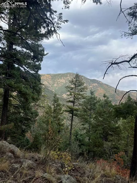 Colorado Springs, CO 80926,5448 Little Turkey Creek RD