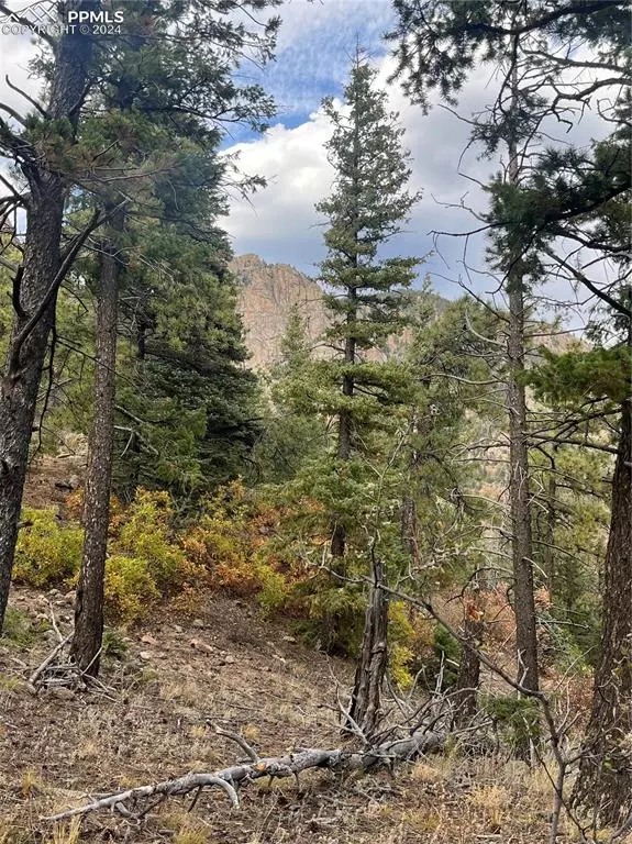 Colorado Springs, CO 80926,5448 Little Turkey Creek RD