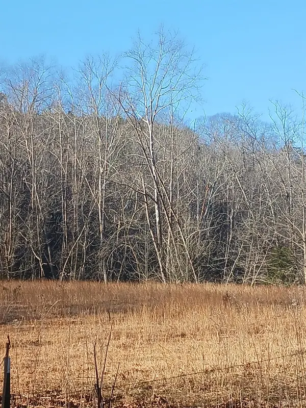 Sandy Level, VA 24161,0 Graves Bridge Rd